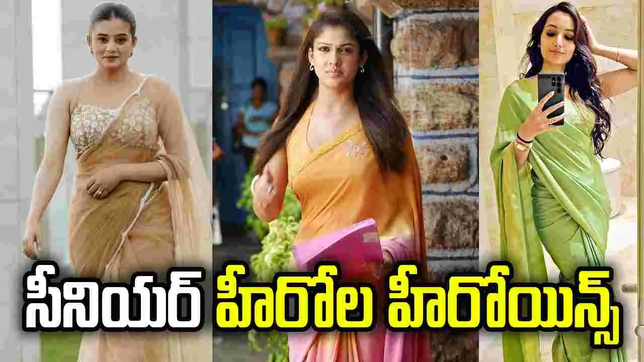 సీనియర్ స్టార్స్ నాయికలపైనే సినీ ఫ్యాన్స్‌లో ఆసక్తి!