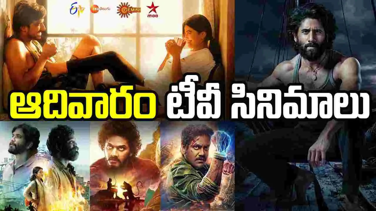 Sunday Tv Movies: ఫిబ్రవరి 15, ఆదివారం తెలుగు టీవీ ఛాన‌ళ్ల‌లో ప్ర‌సార‌మ‌య్యే సినిమాలు