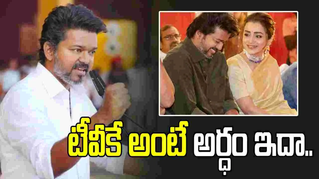 విజయ్ మామూలోడు కాదబ్బా .. త్రిష పేరుతోనే పార్టీ