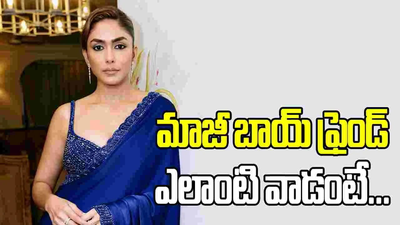 ఎక్స్ బాయ్ ఫ్రెండ్ సీక్రెట్స్ చెప్పిన మృణాల్...