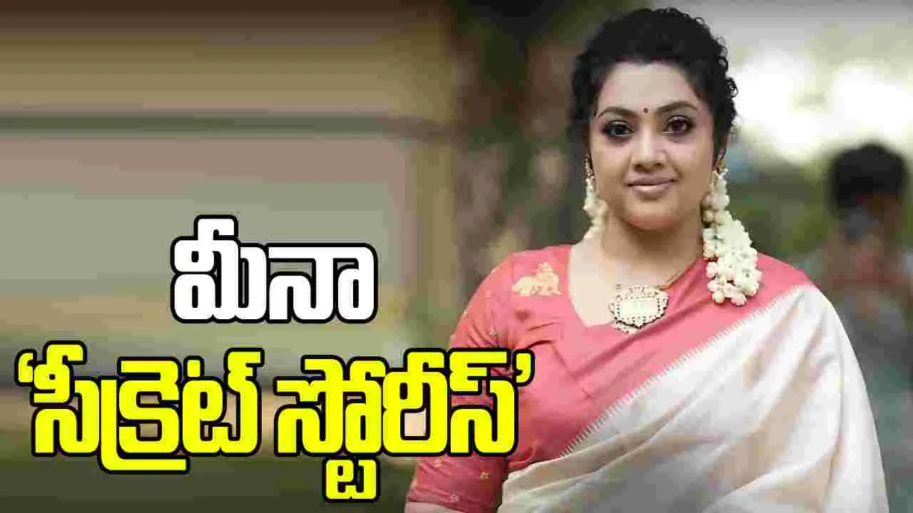 మీనా: ఆ సమయంలో అమ్మ మాటలు ధైౖౖర్యం ఇచ్చాయి..