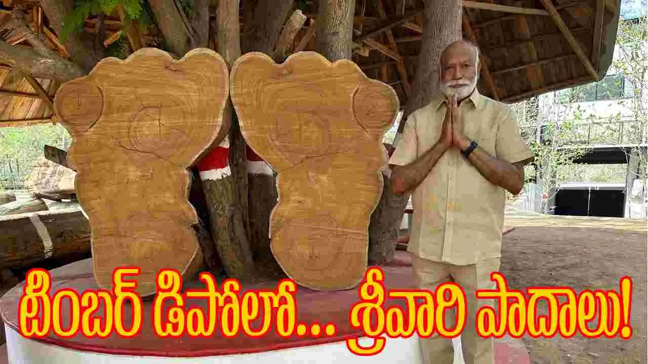 నిర్మాత చదలవాడ టింబర్ డిపోలో అద్భుతం!
