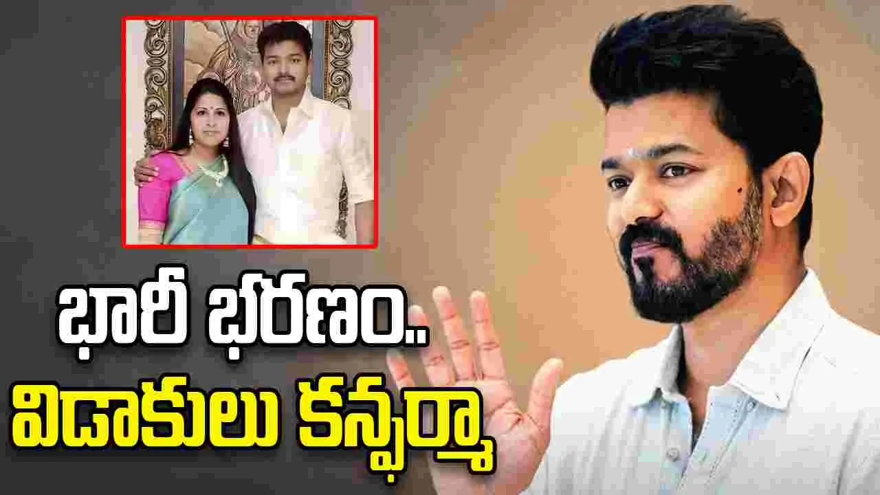 భార్యతో విజయ్ డీల్.. 250 కోట్లతో సెటిల్మెంట్