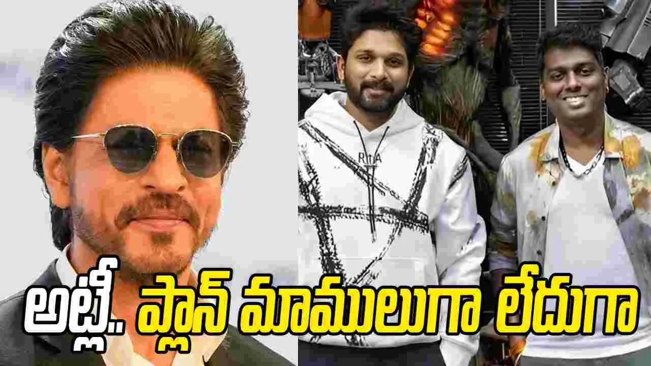 బ‌న్నీ కోసం షారుఖ్‌! సినిమా రేంజ్ అమాంతం పైకి 