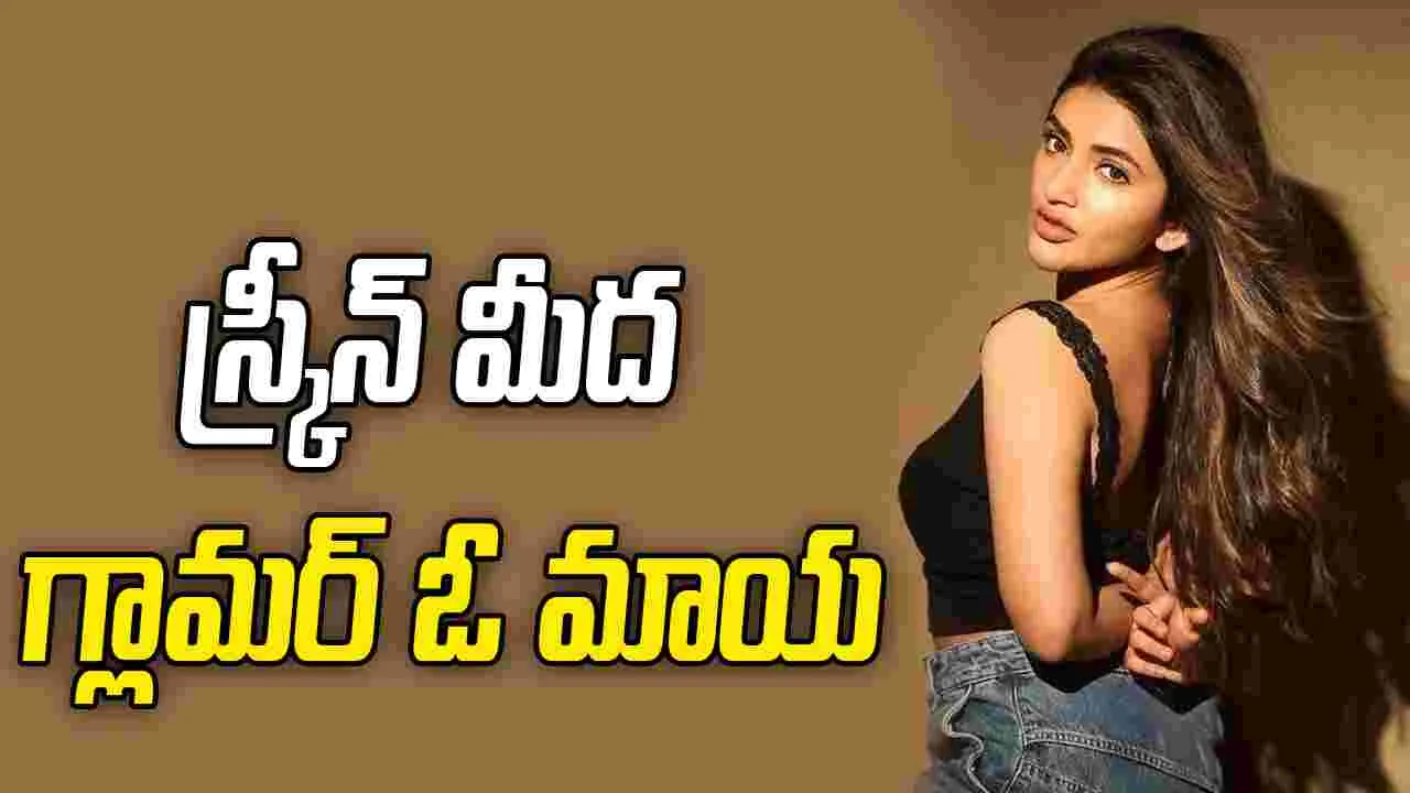  శ్రీలీల: ఆ ఆనందం ముందు  కోట్ల రెమ్యునరేషన్‌ నథింగ్ 