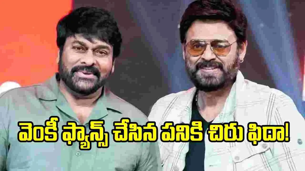 వెంకీమామ ఫ్యాన్స్‌కు చిరంజీవి అభినందనలు.. విషయం ఏంటంటే