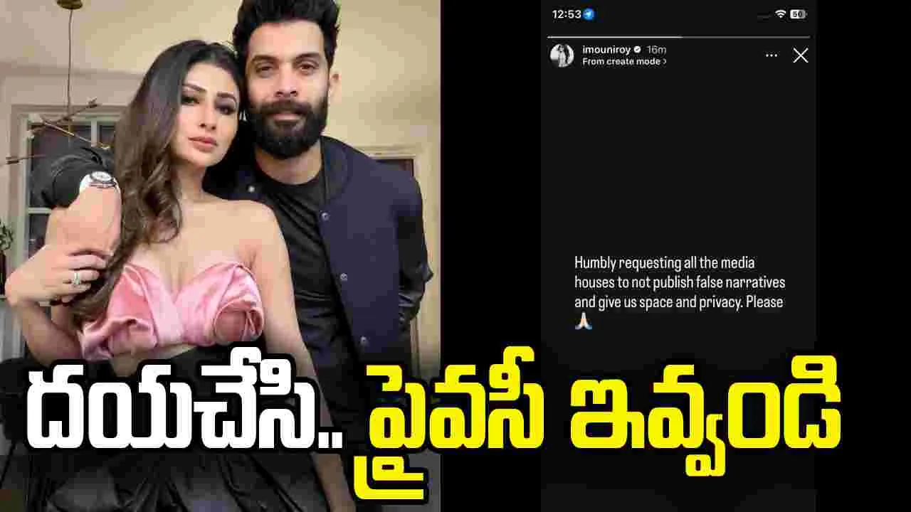 ఎట్టకేలకు విడాకుల వార్తలపై స్పందించిన నాగిని..