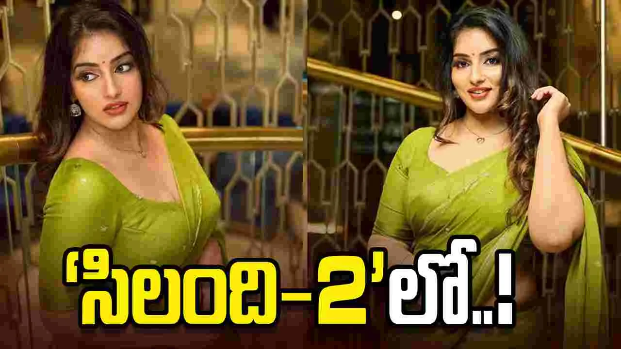 సూపర్ డూపర్ హిట్ ఫిల్మ్ సీక్వెల్‌లో మాళవికకు ఛాన్స్!