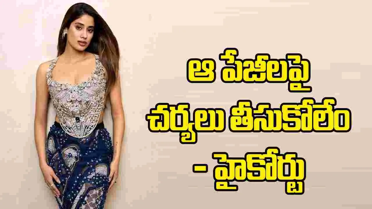 ఫ్యాన్స్ వద్దా.. జాన్వీ కపూర్ పిటిషన్‌పై ఢిల్లీ హైకోర్టు ఆసక్తికర వ్యాఖ్యలు