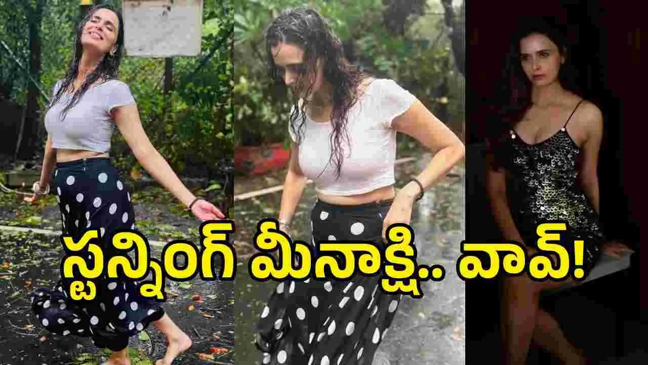 తడి తడి అందాలతో మీనాక్షి దీక్షిత్‌.. ఫొటోలు వైరల్