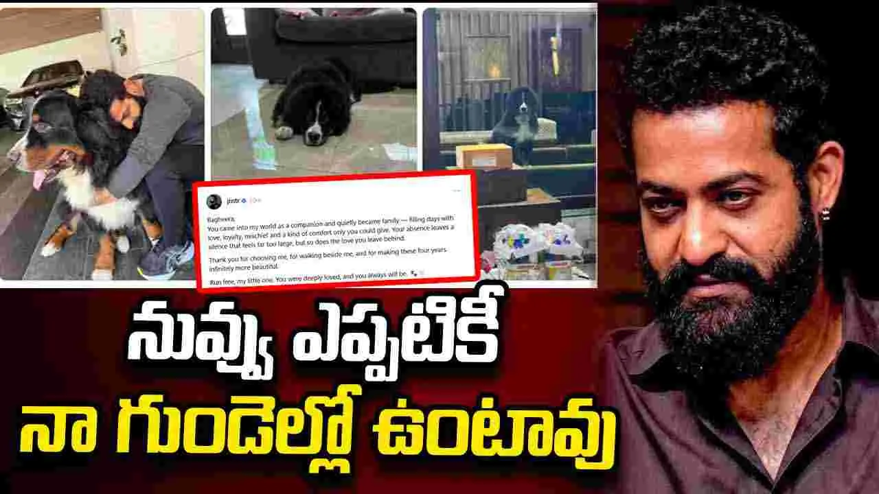ఎన్టీఆర్ ఇంట్లో తీవ్ర విషాదం.. నాలుగేళ్ల బంధం ముగిసింది