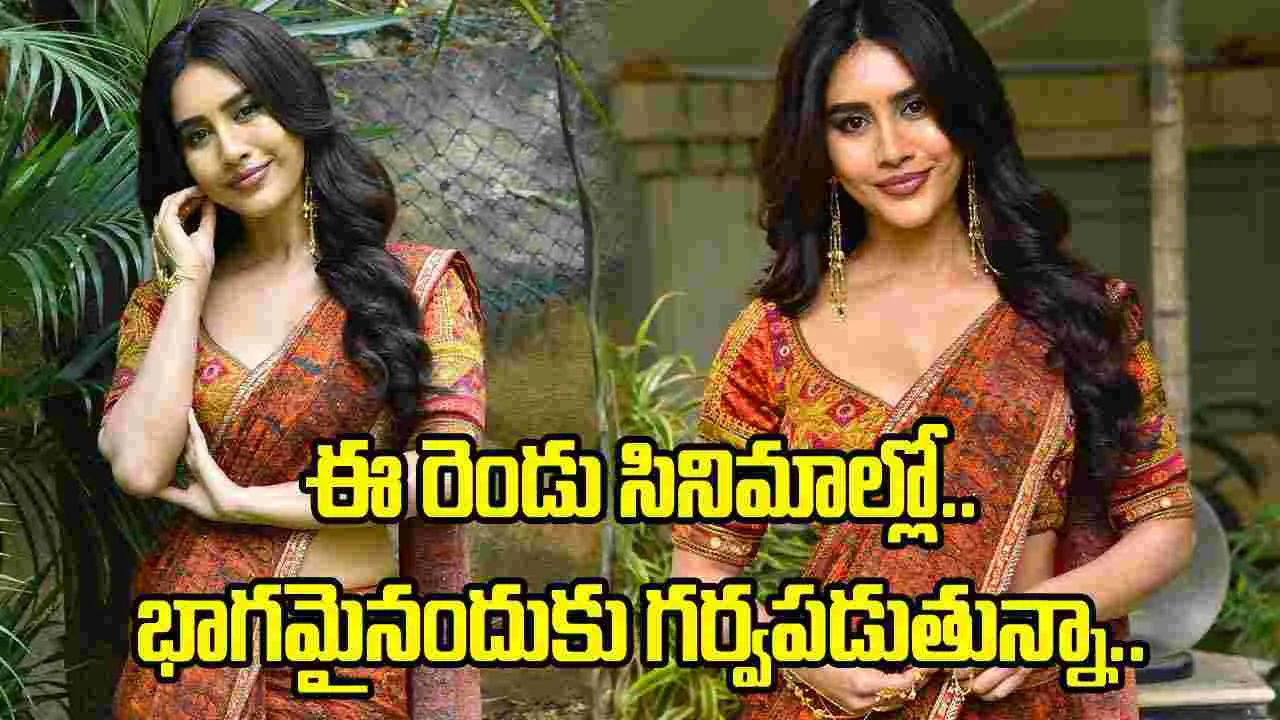 ఈ రెండు సినిమాలతో నటిగా సంతృప్తిగా ఉంది - నభా నటేష్