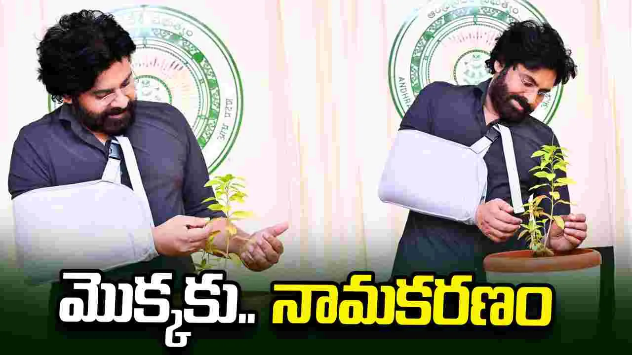 అరుదైన మొక్క..పేరు పెట్టిన‌ పవన్ కళ్యాణ్