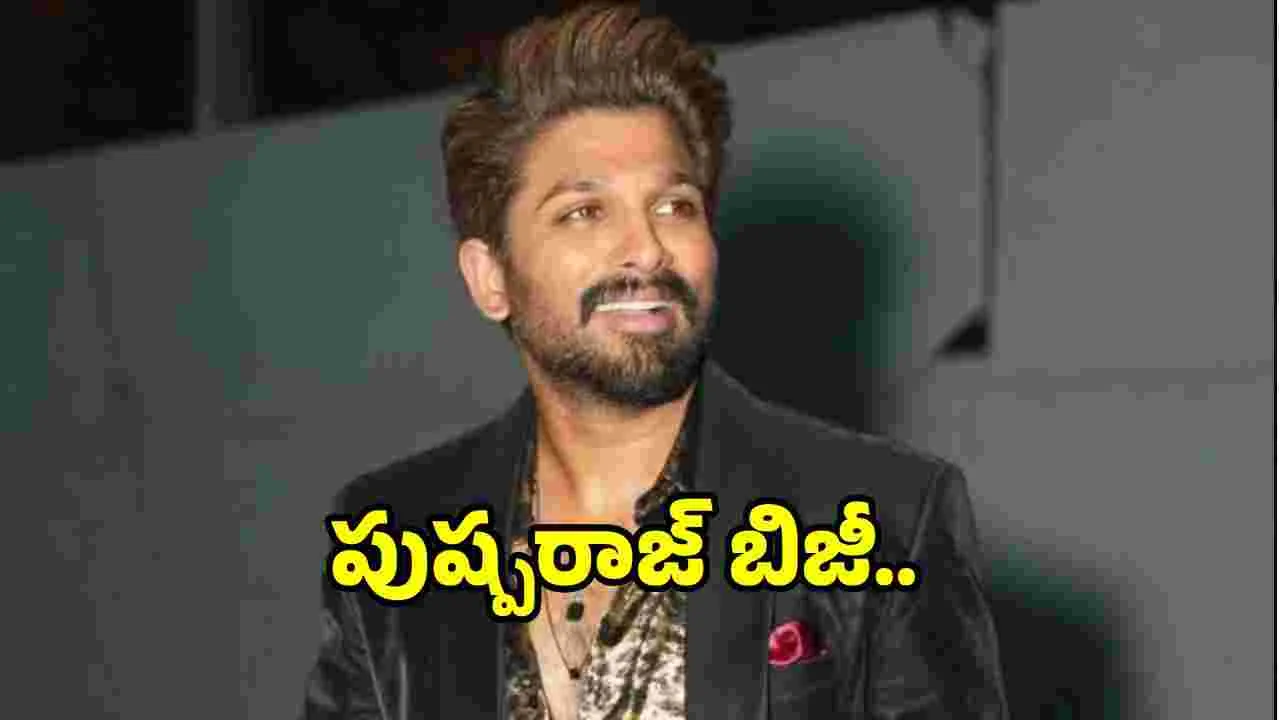 Allu Arjun: సంధ్య థియేటర్‌ ఘటన.. వర్చువల్‌గా కోర్టుకు హాజరైన పుష్ప.. 