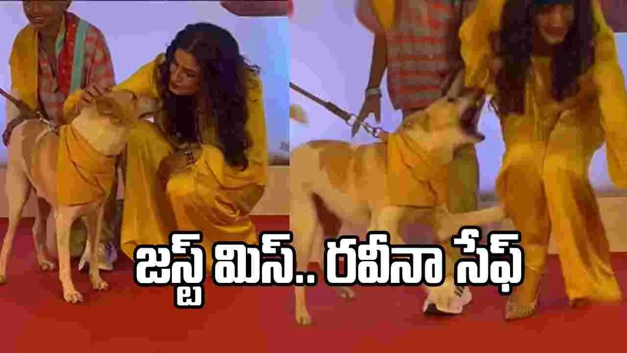 రవీనా టాండన్ ధైర్యానికి నెటిజన్లు ఫిదా