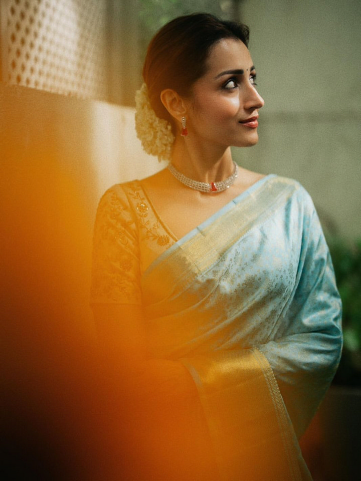 చీరలో త్రిష ఎంత అందంగా ఉందో.. పిక్స్ వైరల్