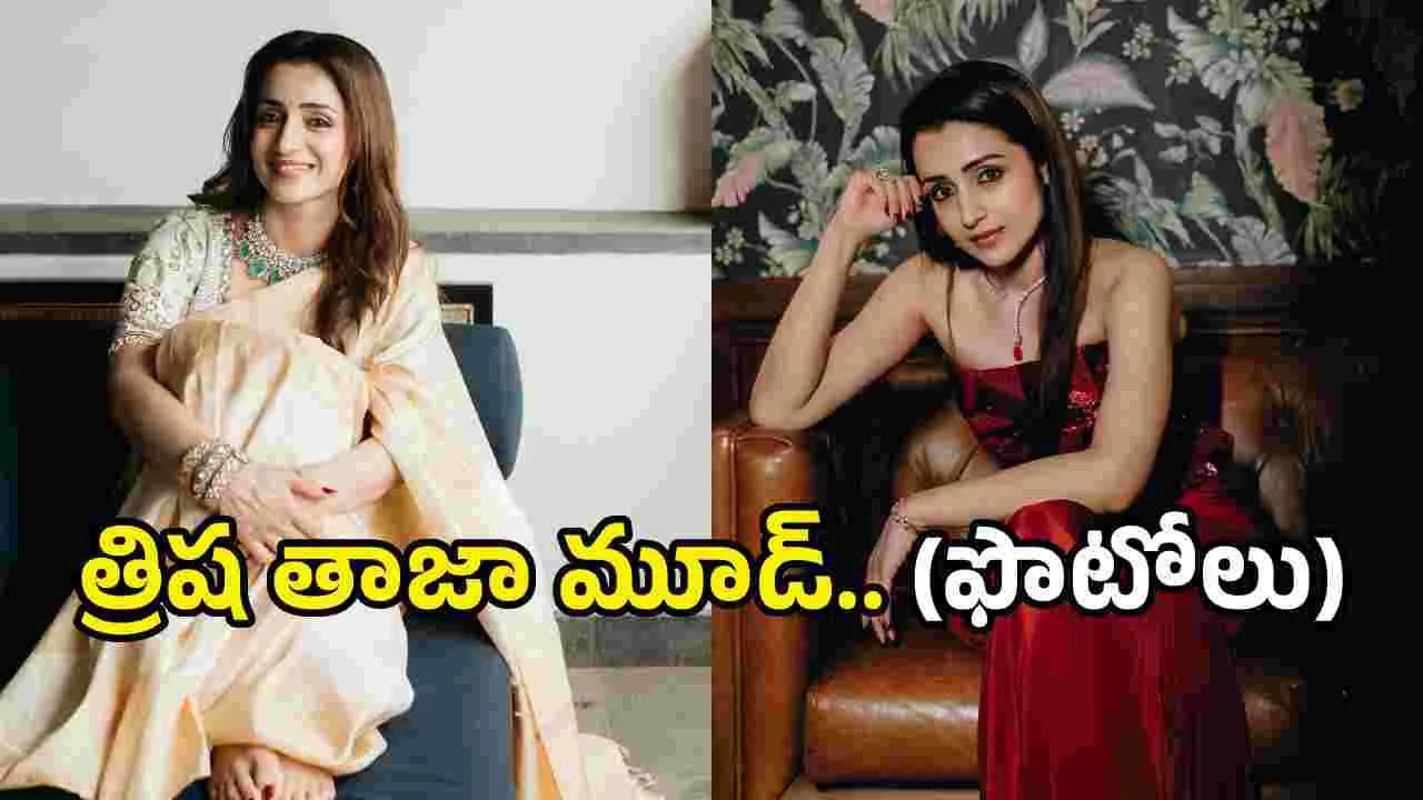 చీరలో త్రిష ఎంత అందంగా ఉందో.. పిక్స్ వైరల్
