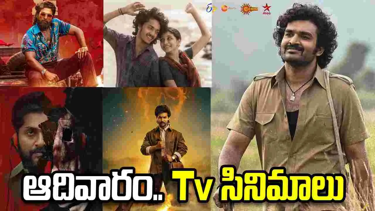 Sunday Tv Movies: April 12, ఆదివారం.. తెలుగు టీవీ ఛాన‌ళ్ల‌లో ప్ర‌సార‌మ‌య్యే సినిమాలు