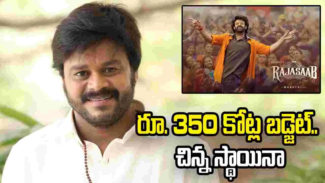 రాజాసాబ్ చిన్న సినిమానా.. అంత మాట అనేశాడేంటి