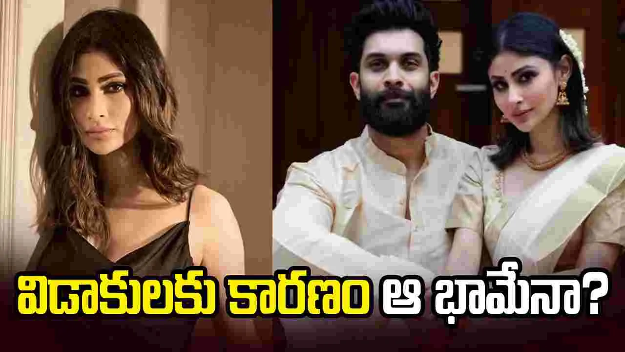 స్టార్ హీరోయిన్ తో మౌనీ రాయ్ ఎఫైర్.. అందుకే భర్తకు విడాకులు