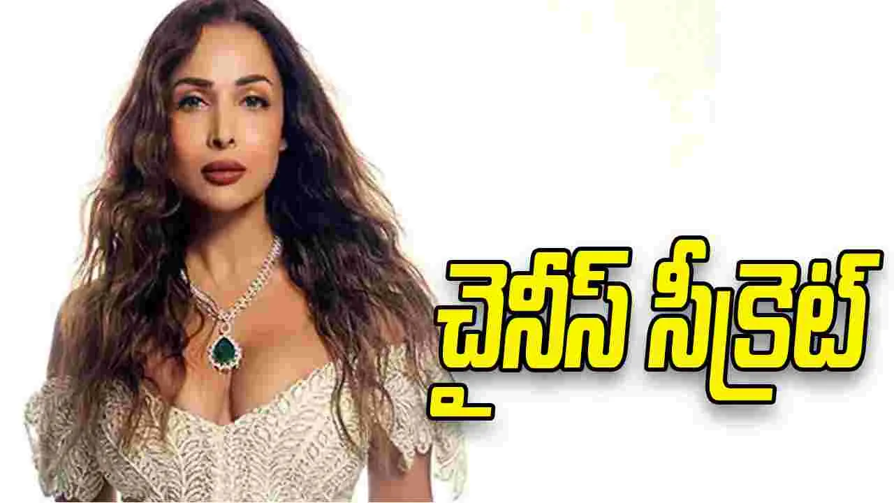 మలైకా చెప్పినట్లు మీరు చేయాలనుకుంటున్నారా.. 