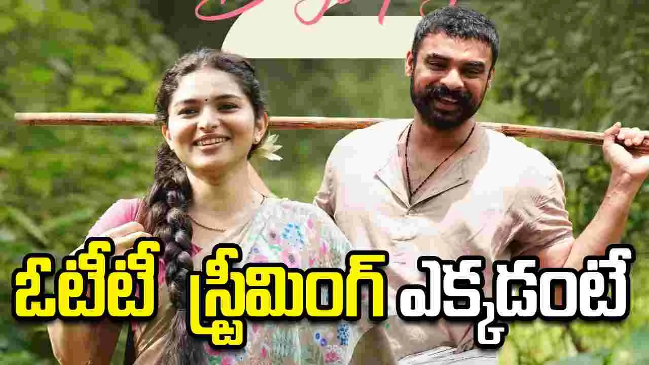 Pallichattambi Ott: మూడు నెలల తర్వాత   ఓటీటీ  స్ట్రీమింగ్‌ 