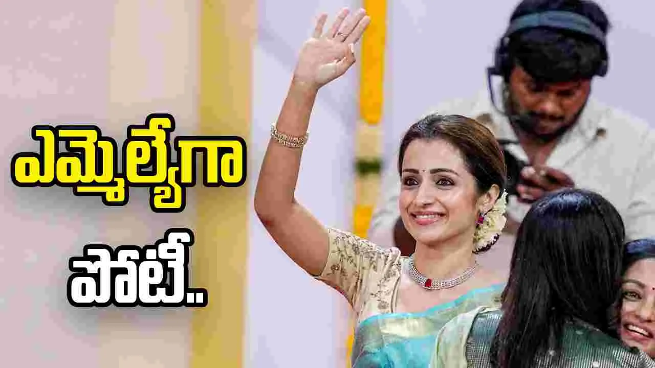 సినిమాలకు త్రిష గుడ్ బై..