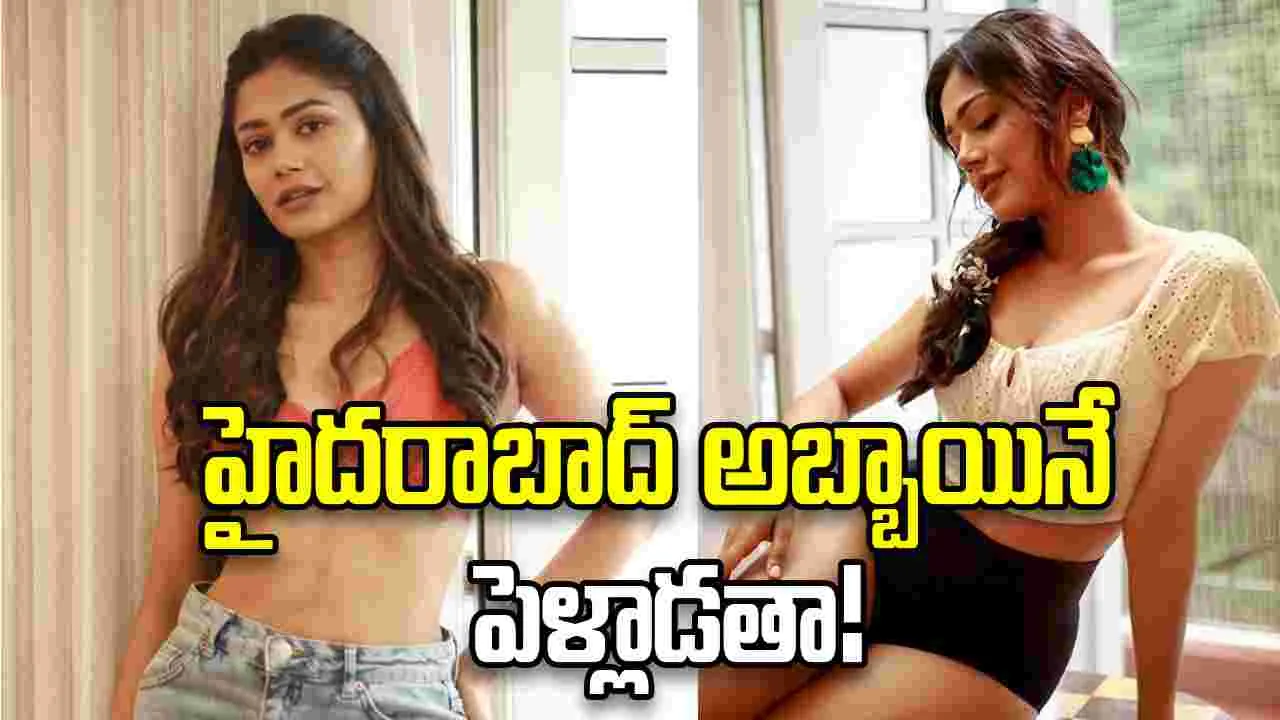 తెలుగబ్బాయినే పెళ్లి చేసుకుంటా: పాయల్