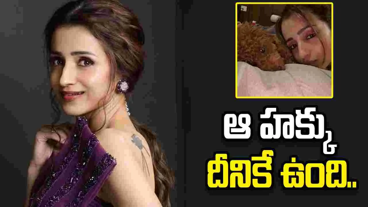 ట్రోలర్స్ కి త్రిష గట్టి కౌంటర్..