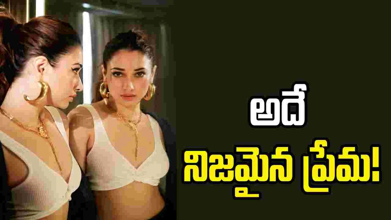 లవ్‌ - రిలేషన్‌‌పై మిల్కీ బ్యూటీ సంచలన వ్యాఖ్యలు 