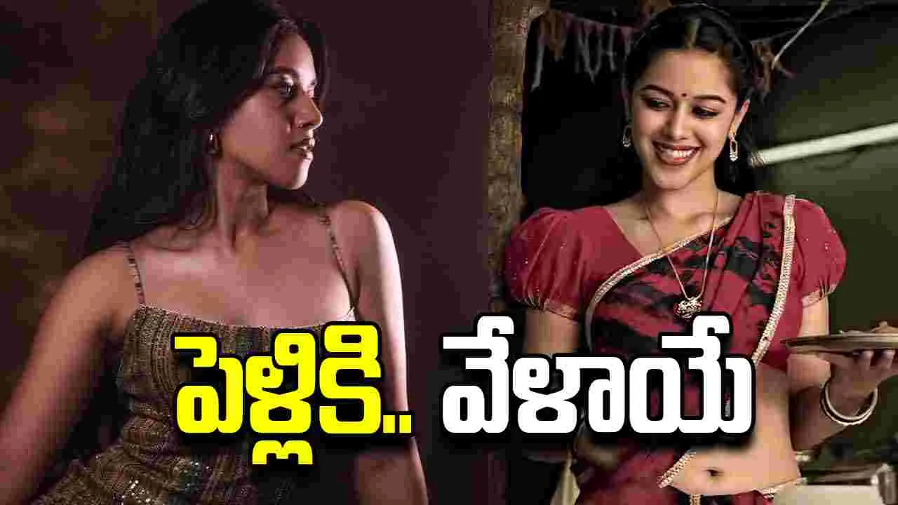 Mrinalini: పెళ్లి పీటలెక్కనున్న.. 'గద్దలకొండ గణేష్' బుజ్జమ్మ