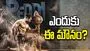'పెద్ది' సినిమాపై ఇండస్ట్రీ సైలెన్స్.. ఎందుకు