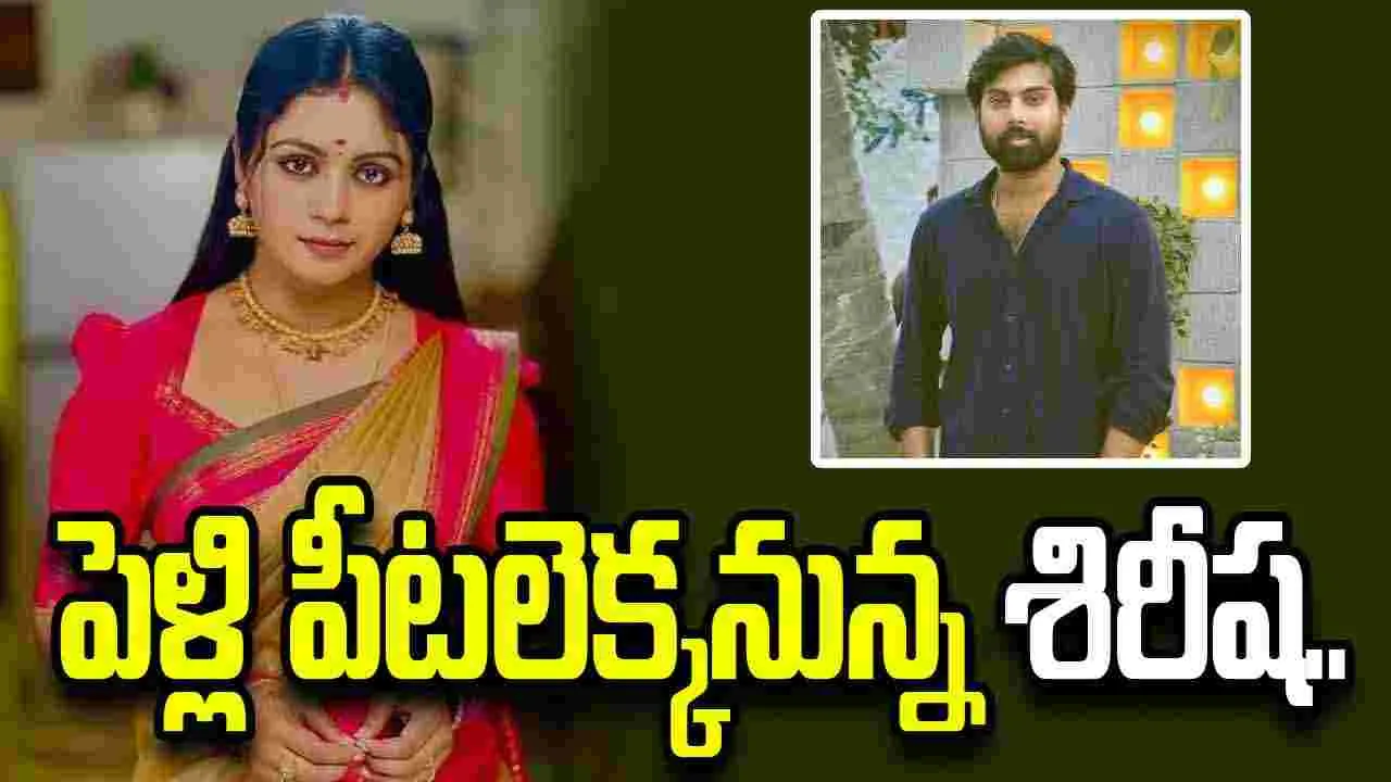 రెండో పెళ్లికి సిద్దమైన మొగలిరేకులు సీరియల్ నటి శిరీష.. 