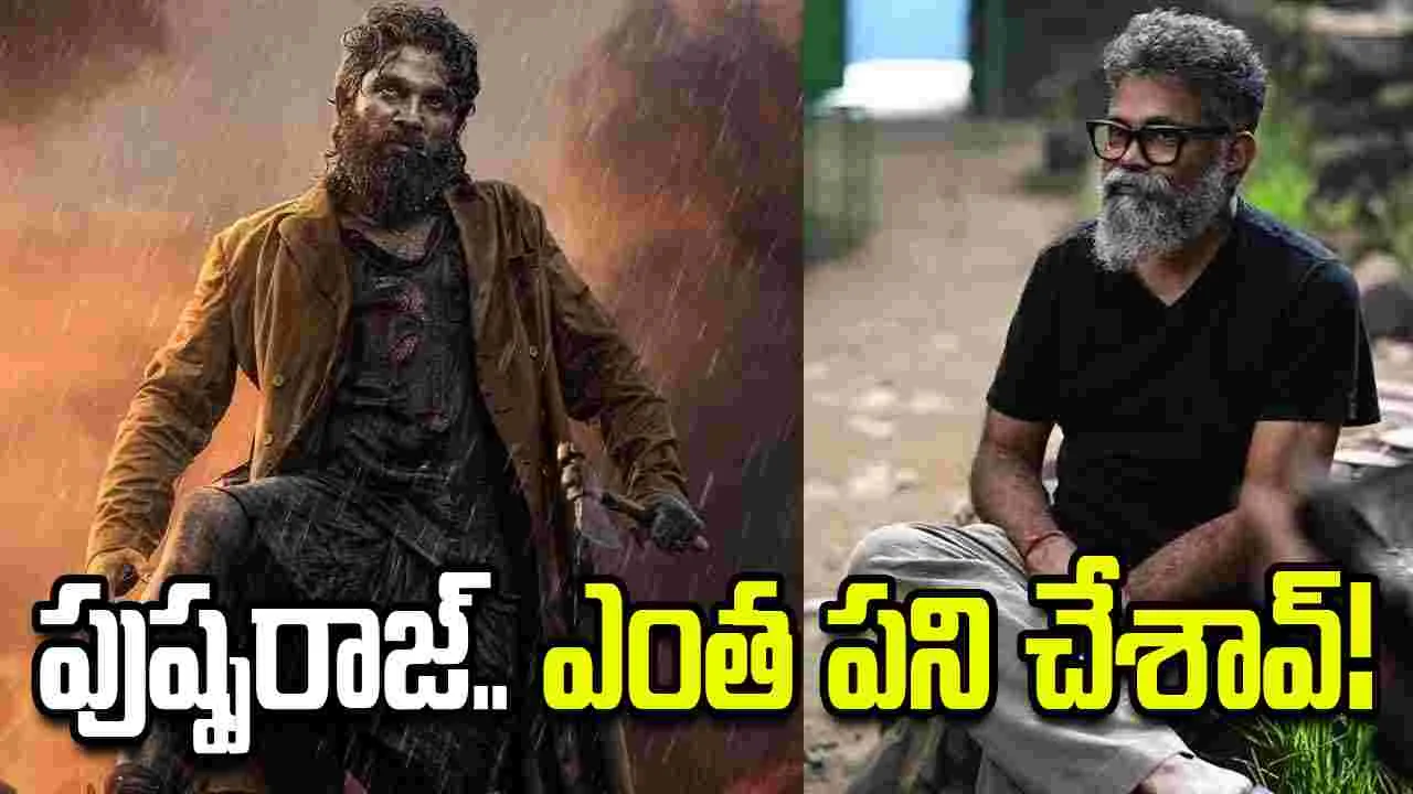 పుష్ప 3.. 2030 త‌ర్వాతే! అల్లు అర్జున్ ఫ్యాన్స్‌కు నిరాశేనా?