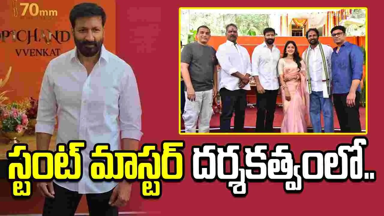 Gopichand 34: ఈ కటౌట్ కి హిట్ ఎప్పుడు పడుతుందో..