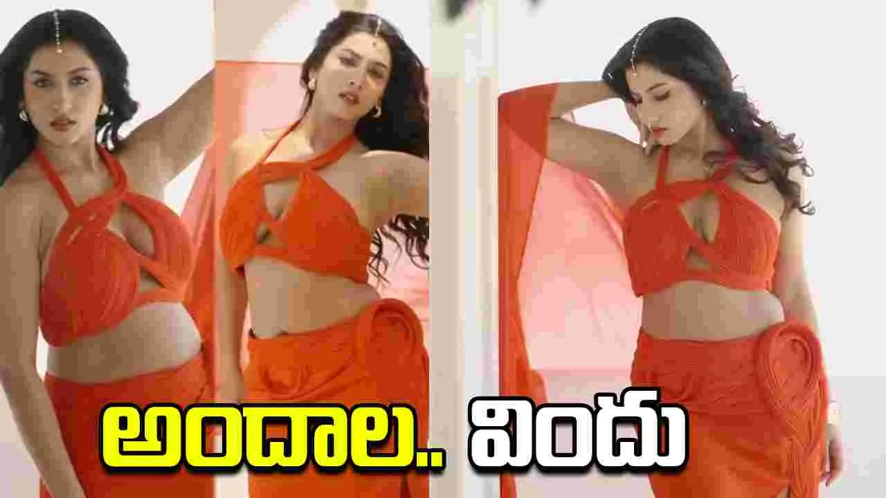Vishnupriya: మరోసారి రెచ్చిపోయిన విష్ణుప్రియ.. ఎద అందాలను ఎరగా వేసి  