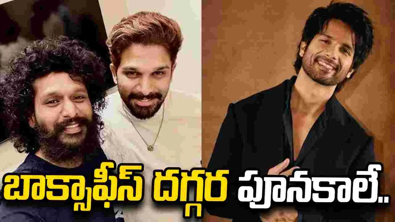 బన్నీకి విలన్‌గా షాహిద్ కపూర్.. లోకేషా.. మజాకానా 