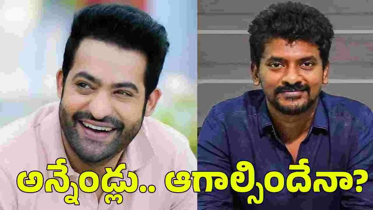 ఎన్టీఆర్- నెల్సన్ క్రేజీ కాంబినేషన్.. కానీ ఇప్పట్లో కష్టమేనా?