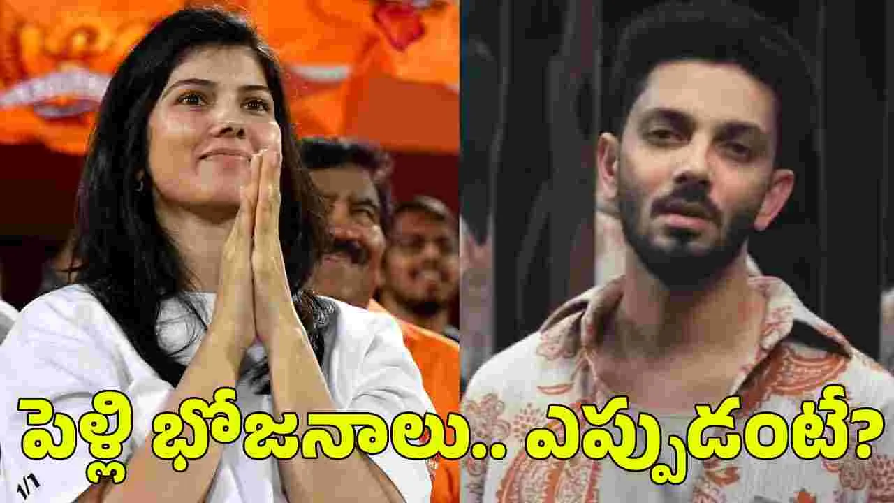 Anirudh Weds Kavya: అనిరుధ్, కావ్య మారన్.. పెళ్లి డేట్ ఫిక్స్?