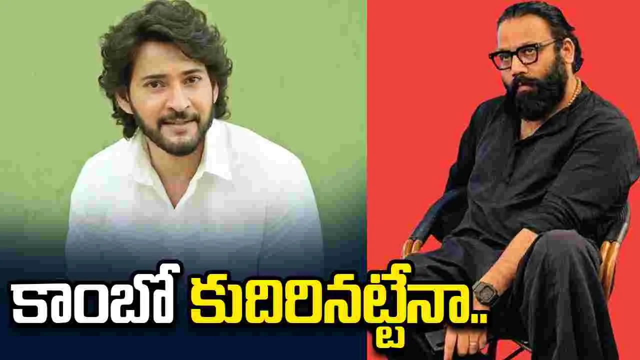 Mahesh Babu: మహేష్ బాబు - సందీప్ రెడ్డి వంగా మరోసారి వైరల్ 