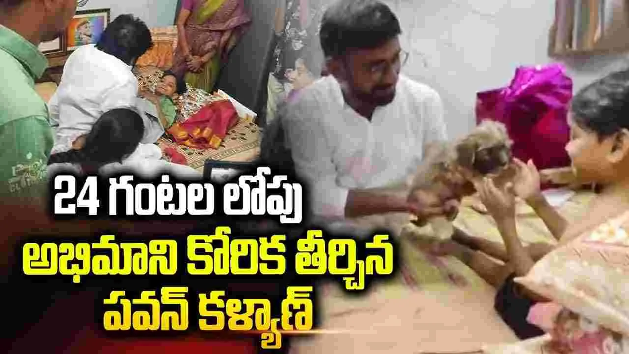 అభిమానికి మాట.. 24 గంట ల్లోనే ట్యాబ్, పప్పీని పంపిన పవన్ కల్యాణ్