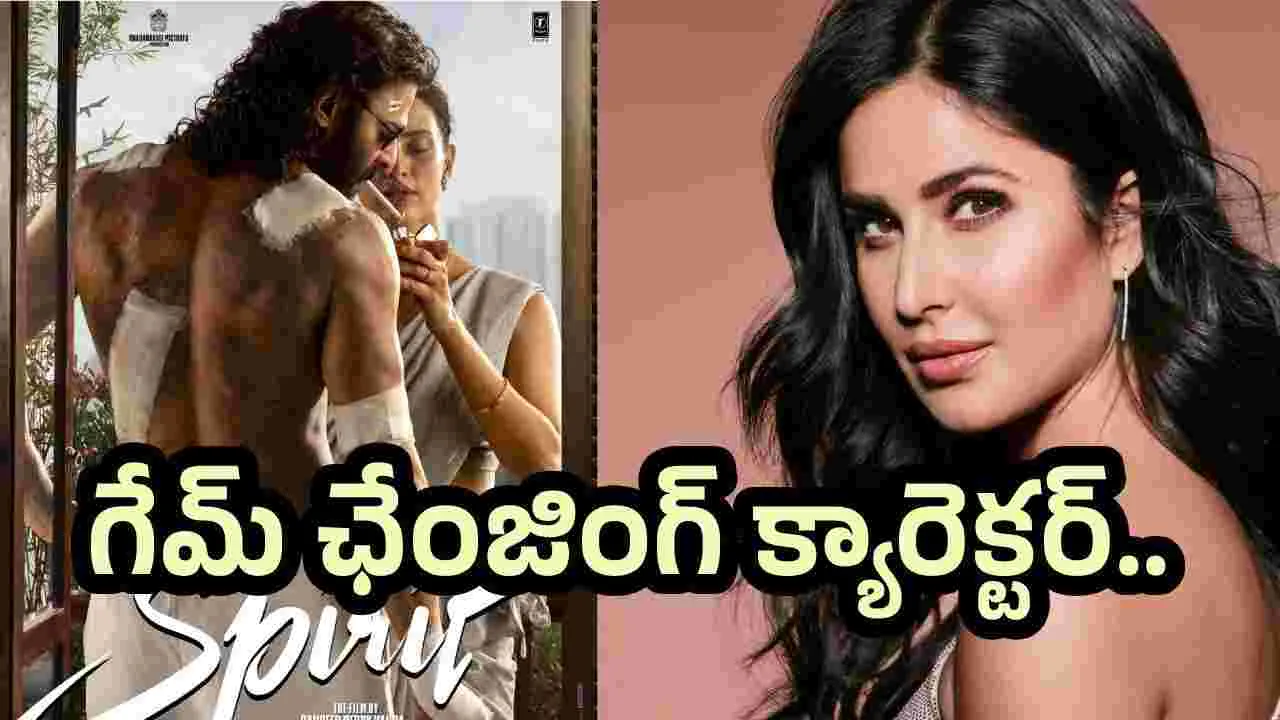 స్పిరిట్ లో కత్రీనా కైఫ్.. ఏం ప్లాన్ చేశావయ్యా సందీపూ