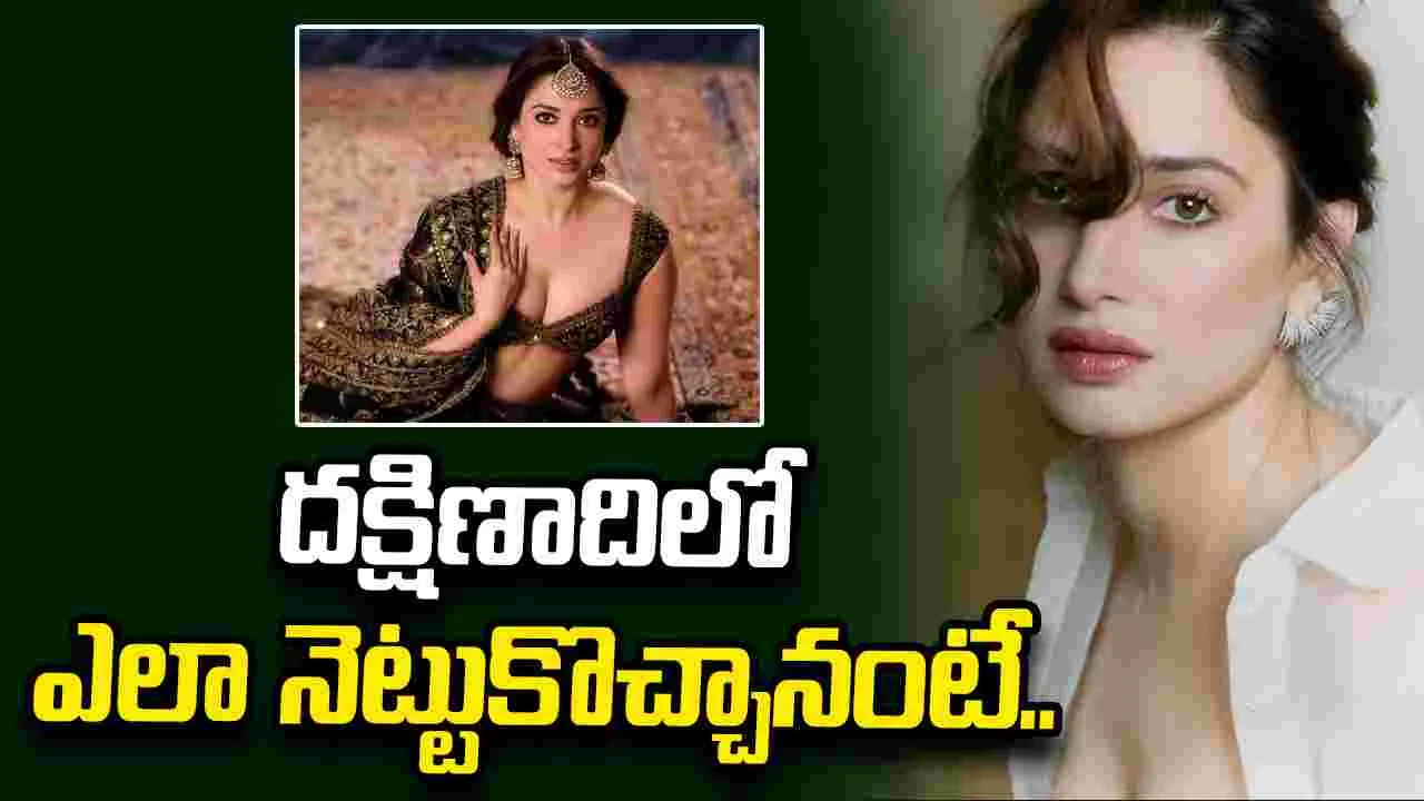 Tamannaah: సౌత్‌లో అదే నాకు ఆయుధమైంది