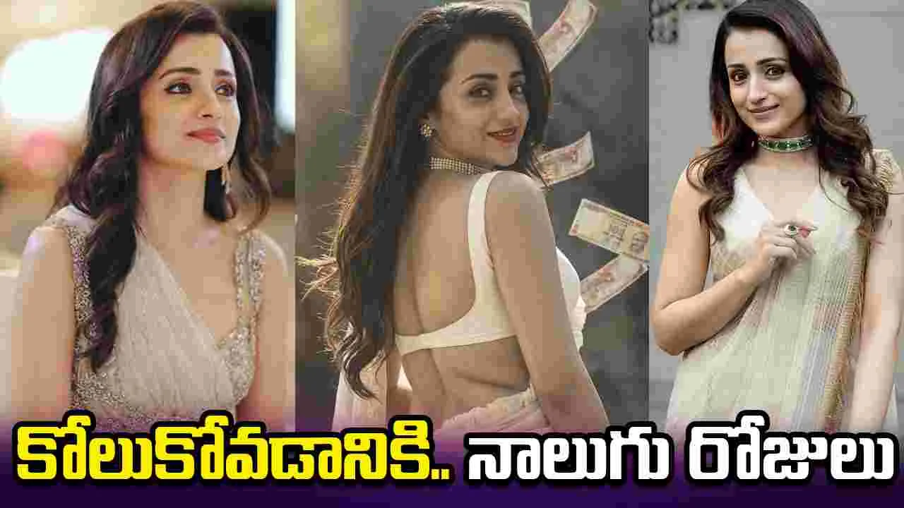 Trisha: ప్రశాంతంగా నిద్రపోవాలంటే.. 2062 వరకు ఆగాల్సిందే