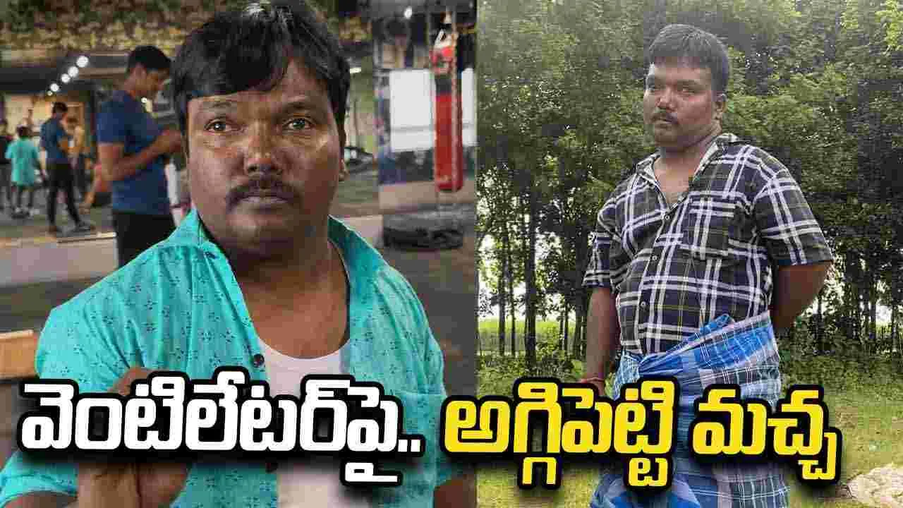 అగ్గిపెట్టి మచ్చకు తీవ్ర అస్వస్థత.. పరిస్థితి విషమం