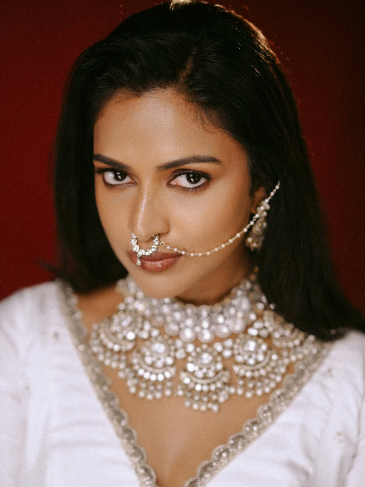 అమలా పాల్ గ్లామరస్ ఫొటోలు వైరల్