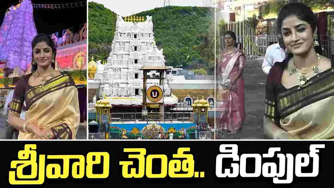తిరుమల శ్రీనివాసుడిని దర్శించుకున్న.. హీరోయిన్ డింపుల్ హయతీ