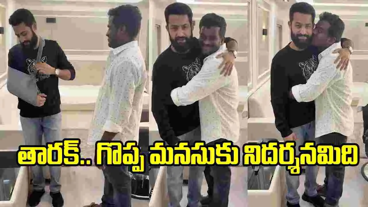 చేతి కట్టు తీసి మరీ అభిమానిని హత్తుకున్న తారక్.. వీడియో వైరల్ – movies చేతి కట్టు తీసి మరీ అభిమానిని హత్తుకున్న తారక్.. వీడియో వైరల్ – movies