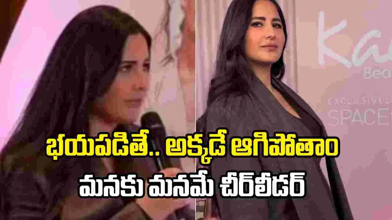 ప్రసవం తర్వాత లుక్స్‌పై కామెంట్స్.. కత్రినా ఇచ్చిపడేసింది