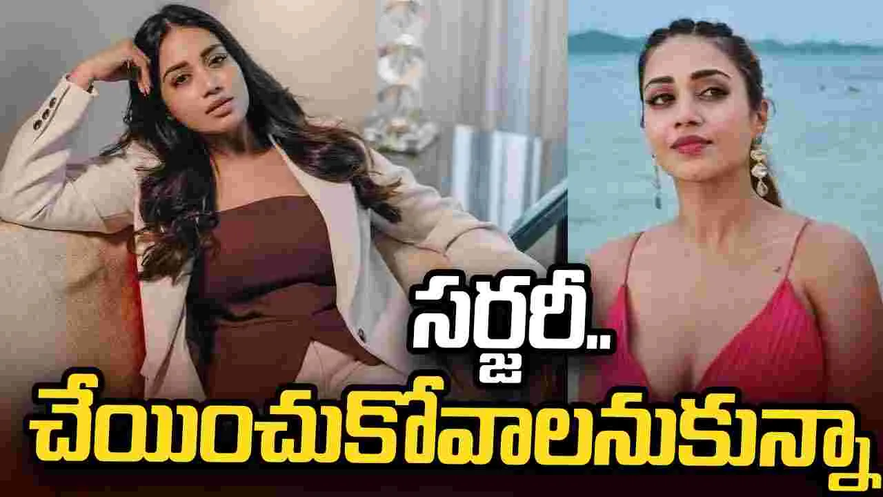 నివేదా పేతురాజ్ సెకండ్ ఇన్నింగ్స్: ఆరోగ్యం, మోటార్‌స్పోర్ట్స్ ఆసక్తి